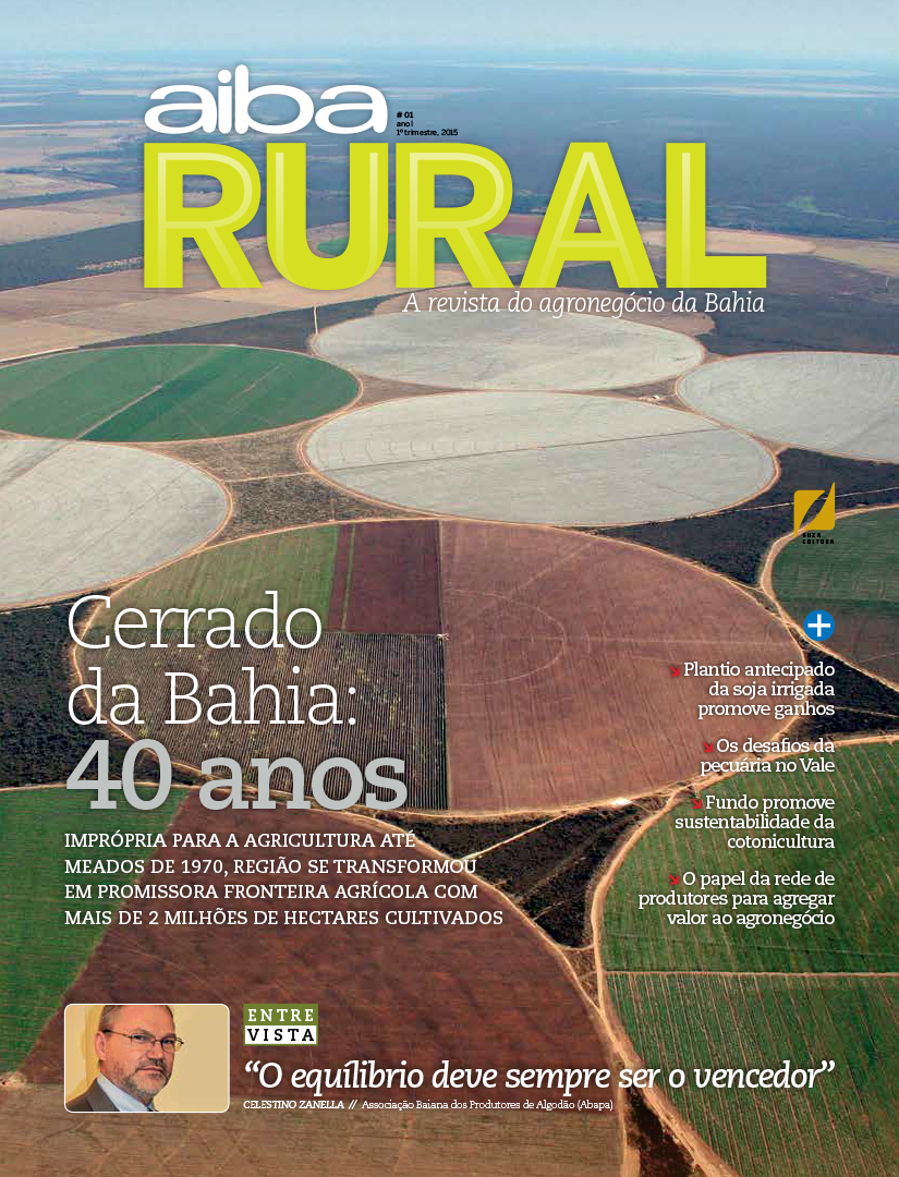 Capa — Cerrado da Bahia, 40 anos