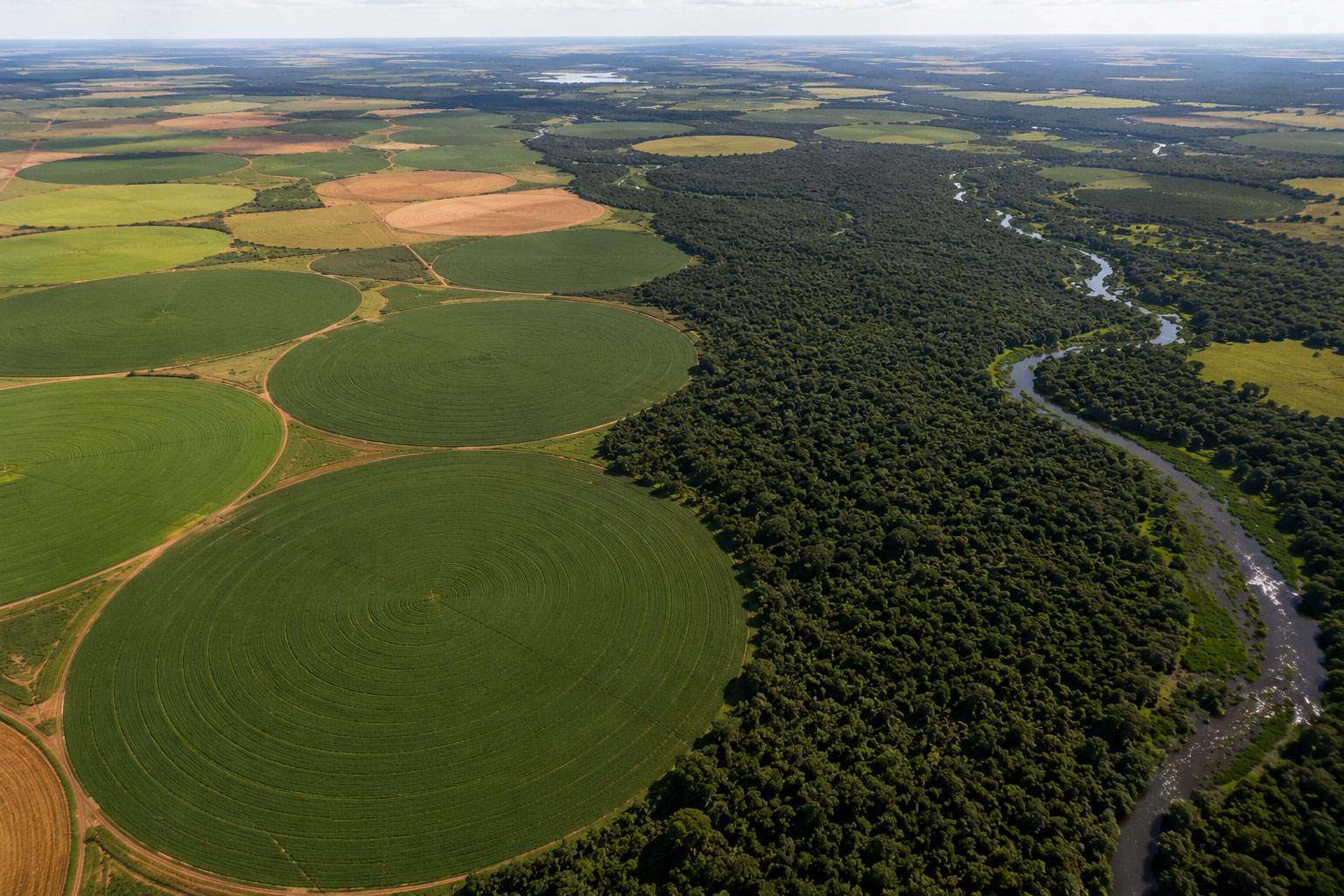 Produção agrícola responsável no Oeste da Bahia