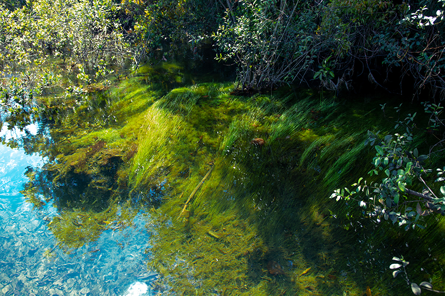 Apoio à Regularização Ambiental